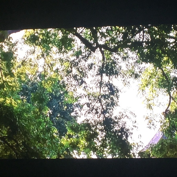 Meet your Posher, Justine - Picture 1 of 1